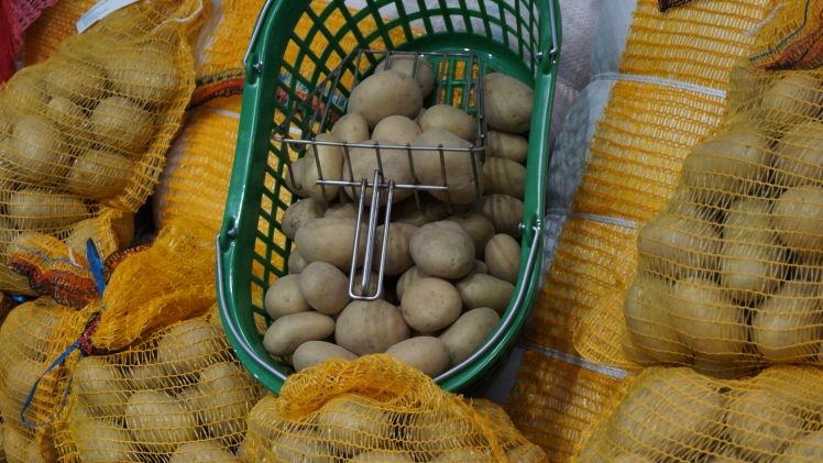 Die Menge an verfügbaren Kartoffeln steigen im Jahr 2018 laut der Vereinigung NEPG weiter an. Bild: GABOT.