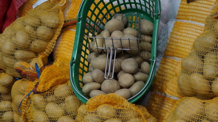 Kartoffeln haben dieses Jahr richtig gute Preise erzielt. Bild: GABOT.