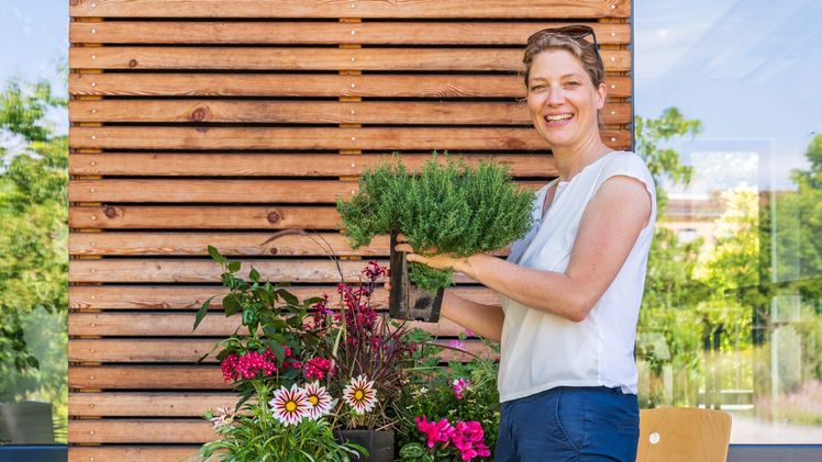 Von der Juristerei und Personalleitung über einen MBA zur Gründerin eines raffinierten Minigartens für die Stadt. Bild: Greenling.