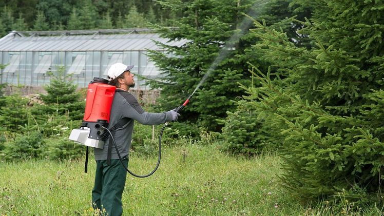 Das Akku-Rückensprühgerät REX 15 erhält den Innovationsaward für Technik. Bild: Birchmeier.