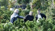 BdB fordert Länder auf, dem Beispiel Niedersachsens und Schleswig-Holstein zu folgen und Gartencenter sowie Gartenbaumschulen rasch zu öffnen. Foto: Graf Luckner/BdB.