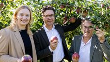 Alte Sorten im modernen Anbau: Katrin Hohensinner-Häupl und Manfred Hohensinner (Geschäftsführung von Frutura) sowie Markus Kaser (Stv. Vorstandsvorsitzender von SPAR Österreich) zeigen in der Frutura Testanlage, wie der Ilzer Rosenapfel und der Falchs Gulderling unter heutigen Bedingungen wachsen. Bild: © SPAR/wearegiving.