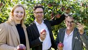 Alte Sorten im modernen Anbau: Katrin Hohensinner-Häupl und Manfred Hohensinner (Geschäftsführung von Frutura) sowie Markus Kaser (Stv. Vorstandsvorsitzender von SPAR Österreich) zeigen in der Frutura Testanlage, wie der Ilzer Rosenapfel und der Falchs Gulderling unter heutigen Bedingungen wachsen. Bild: © SPAR/wearegiving.