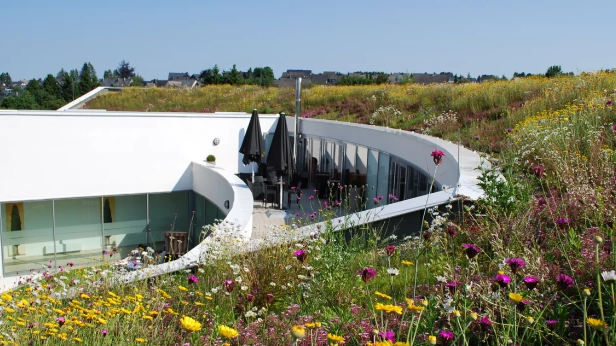 Warum Dachbegrünungen einen wichtigen Beitrag leisten. Bild: Optigrün international AG.