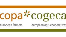 Vertreterinnen und Vertreter von Copa und Cogeca berichteten Kommissar Hansen direkt über die EU-weit verbreitete Verschlechterung der landwirtschaftlichen Bedingungen.