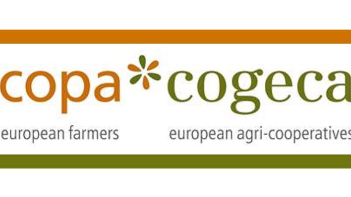 Copa und Cogeca fordern Sondermaßnahmen für Obst und Gemüse.