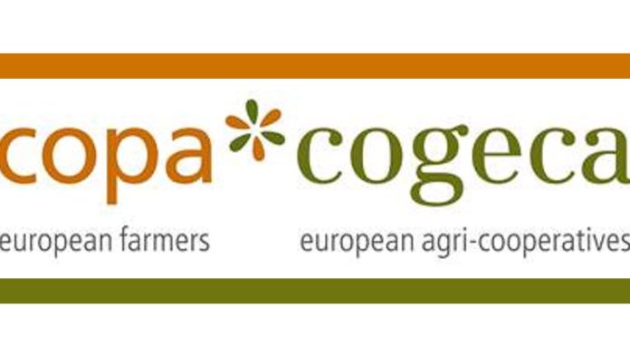 Copa und Cogeca fordern EU-Landwirtschaftsminister zu Unterstützung der GAP durch soliden Haushalt auf. Bild: Copa und Cogeca.