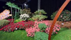 Impressionen von den Genter Floraliën. Bild: GABOT.