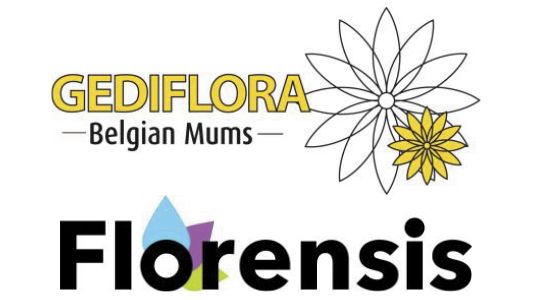 Gediflora und Florensis gehen eine Vertriebspartnerschaft ein.