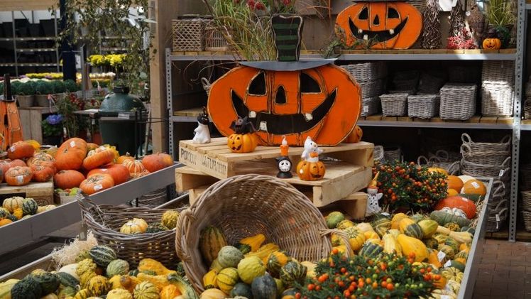 Die Ausgaben zu Halloween bleiben trotz zurückhaltender Konsumstimmung stabil. Bild: GABOT. Die Ausgaben zu Halloween bleiben trotz zurückhaltender Konsumstimmung stabil. Bild: GABOT.