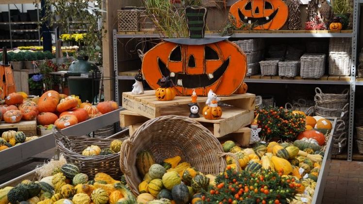 Die Bedeutung von Halloween als Einkaufsanlass ist in den vergangenen Jahren insbesondere bei jungen Zielgruppen und Familien immer weiter gestiegen. Bild: GABOT.