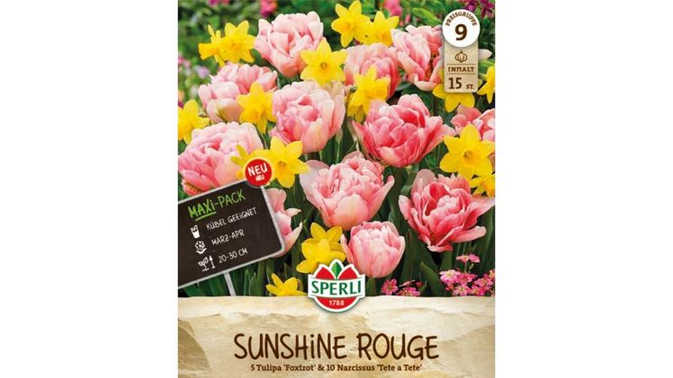 Die Frühlingsgartenmischung 'Sunshine Rouge Mix'. Bild: © SPERLI GmbH / www.sperli.de. 