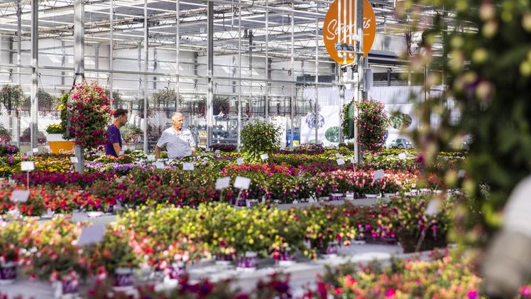 Der intanationale Charakter prägten die  FlowerTrials® 2023. Bild: FlowerTrials. 