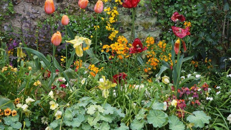 Thüringer Landesgartenschau 2024. Symbolbild: GABOT.