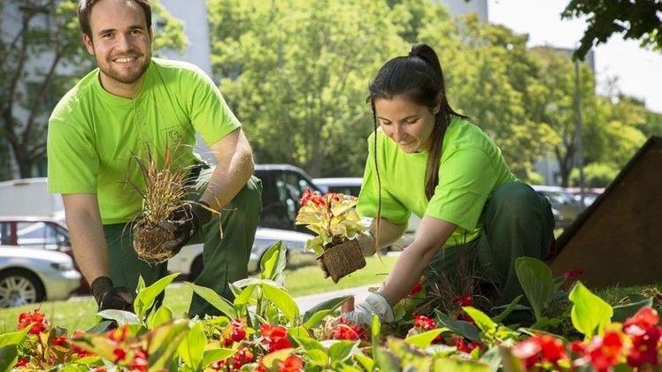 Die Wiener Stadtgärten starten mit der Auspflanzung der diesjährigen Sommerblumen Bild: Wiener Stadtgärten/Wieser.