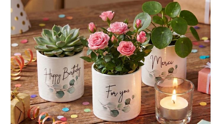 Pretty Presents sind Made in Germany und 100% wasserdicht. Bild: Scheurich.