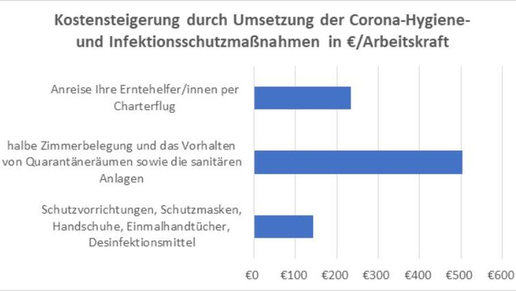 Corona-Auflagen führen zu 880 Euro an zusätzlichen Kosten pro Saisonarbeitskraft und 28% Erntehelfermangel. Bild: Netzwerk der Spargel- und Beerenverbände.