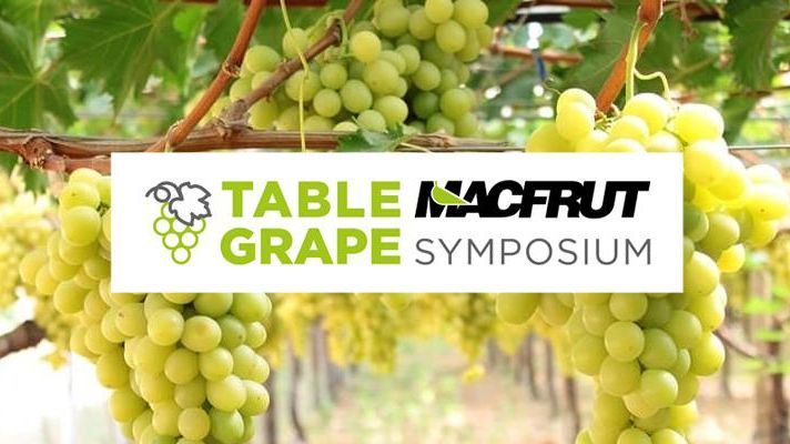 Macfrut 2024 im Zeichen der Tafeltraube. Bild: Macfrut.