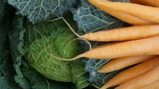 Die aktuelle Marktsituation war Thema der Vorstandssitzung der Bundesfachgruppe Gemüsebau. Bild: GABOT.