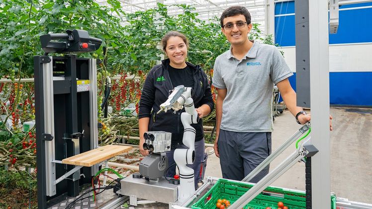 Ein Pflück-Roboter fürs Gewächshaus. Bild: ETH Zürich / Nicole Davidson.