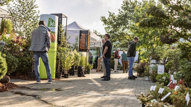 Ausstellungsbereich mit Baumschul-Ausstellern auf der Fachmesse Sommer-Florum. Foto. T. Quandt, florum.sh. Ausstellungsbereich mit Baumschul-Ausstellern auf der Fachmesse Sommer-Florum. Foto. T. Quandt, florum.sh.