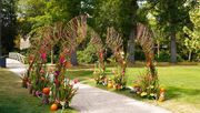 Orchideen-Premiere bei Blumenfest „Blumig!". Bild: Schlossgärten Arcen.