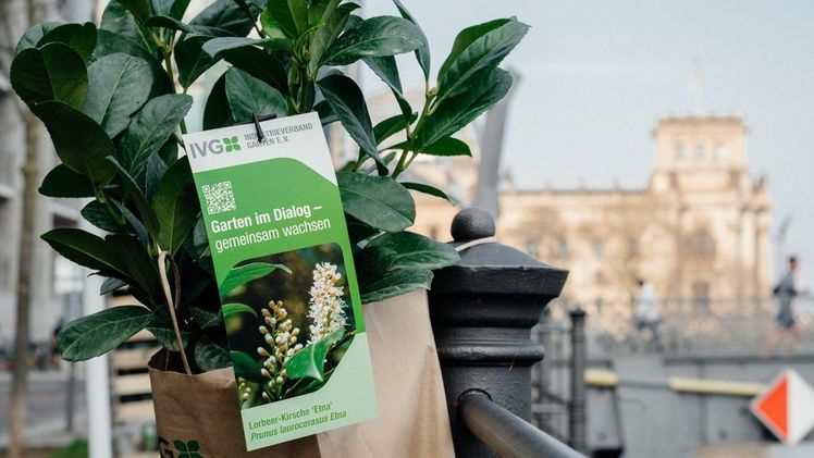 Der Industrieverband Garten (IVG) e.V. sieht einige wichtige Schritte hin zu einer praktikableren und bürokratieärmeren Industrie- und Umweltpolitik im Koalitionsvertrag verankert. Bild: IVG.