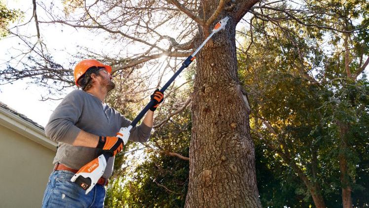 Dank seines geringen Gewichts und der hervorragenden Balance ermöglicht der neue Akku-Hoch-Entaster STIHL HTA 50 das kräfteschonende Arbeiten in der Höhe. Bild: STIHL.