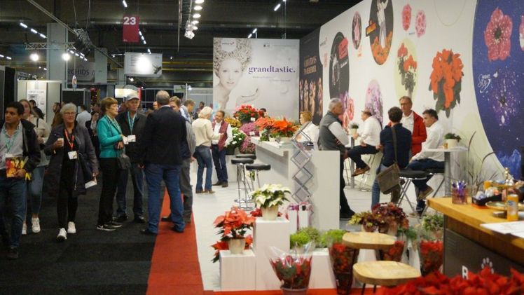 Die Trade Fair Aalsmeer findet am Dienstag, 5., Mittwoch, 6. und Donnerstag, 7. November 2024 statt. Bild: GABOT.
