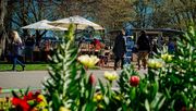 Die Besucher der BUGA in Erfurt bekamen auch ansprechende Hallenschauen geboten. Bild: BUGA.