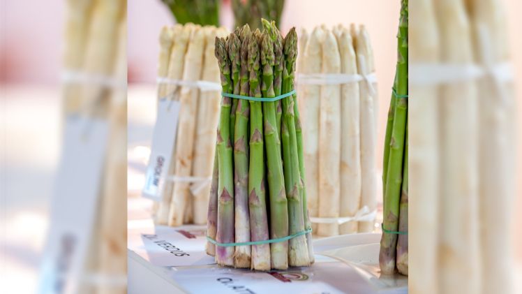 Grüner und weißer Spargel. Bild: International Asparagus Days.