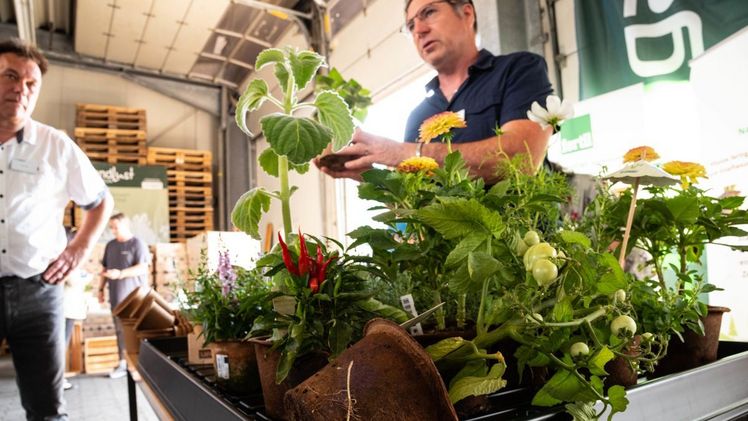 Landgard Innovationstag Gartenbau 2022. Bild: Landgard.