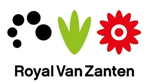 Royal Van Zanten: Flowertrials® met nieuwe en bekende gezichten