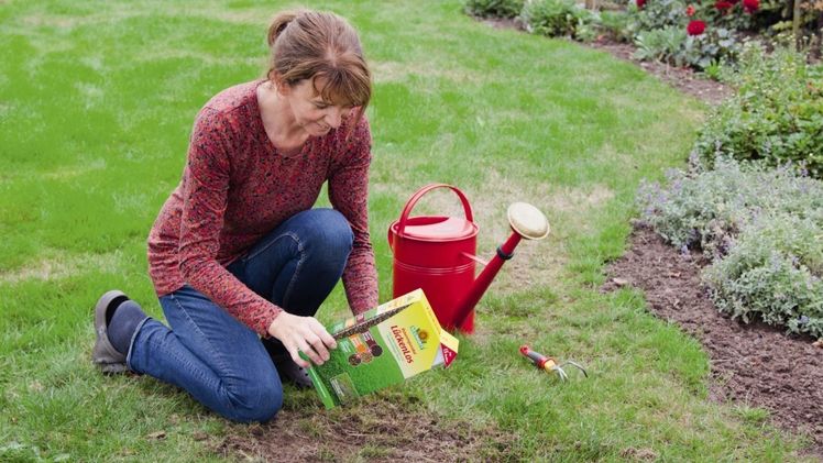 Die Rasenreparatur LückenLos von Neudorff bekam die beste Bewertung im Test. Bild: Neudorff.