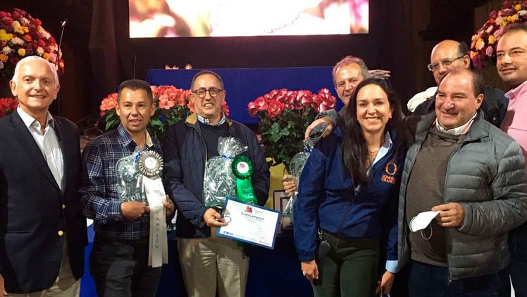 Gemeinsam mit seinen Partnerbetrieben hat der Produzent Dümmen Orange die beim Sortenwettbewerb Proflora 2021 in Bogotá, Kolumbien, die wichtigsten Auszeichnungen erhalten. Bild: Dümmen Orange.