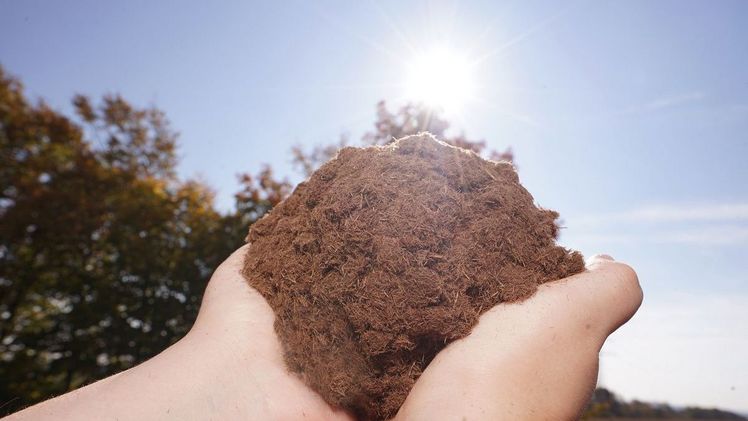 Kleeschulte ist Spezialist für ökologisch wertvolle Erden und Substrate. Bild: Kleeschulte Erden.