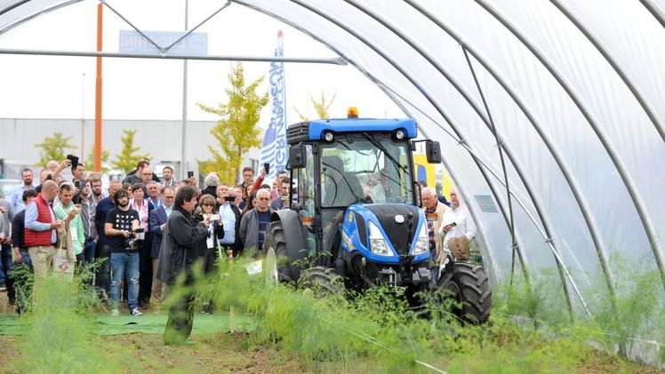 Tagungen, Demonstrationsproben auf dem Feld und technische Besuche in den Betrieben sind die Zutaten der Macfrut 2021. Bild: Macfrut.