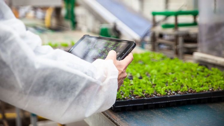 Agrobusiness Niederrhein e.V. setzt sich für die Förderung der Wettbewerbsfähigkeit und der Innovationskraft von Unternehmen des Agrobusiness am Niederrhein ein. Bild: Mprise.