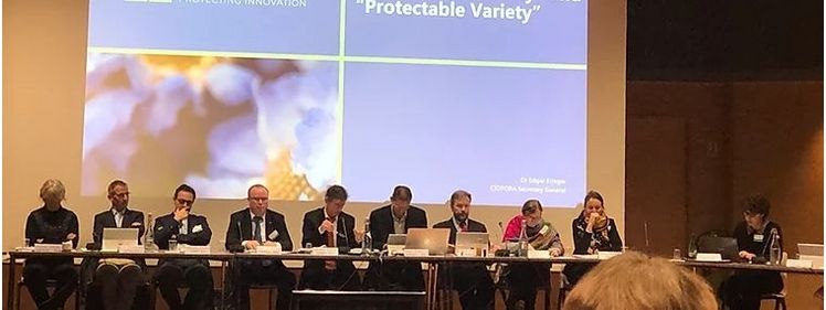 Nach Ansicht von CIOPORA unterscheidet die EU-Verordnung 2100/94 zwei verschiedene Grade der "Unterschiede" zwischen Pflanzensorten. Bild: Ciopora.