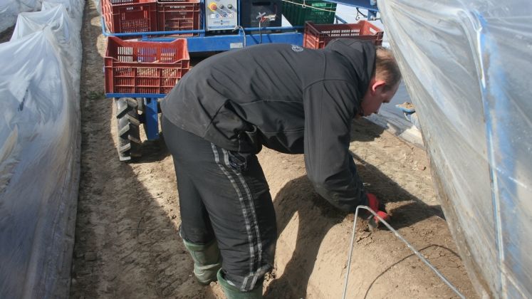 Arbeitskräfte können jetzt schneller ihre Beschäftigung in der Landwirtschaft aufnehmen. Bild: GABOT.
