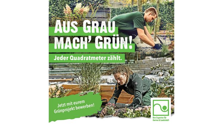 Start des Schul- und Kindergartenwettbewerbs „Aus Grau mach' Grün!". Bild: FGL HT.