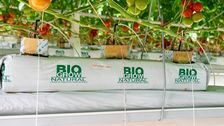 Neues Substrat mit perfekter Partikelhomogenität und hoher Reaktivität. Bild: BIOGROW.