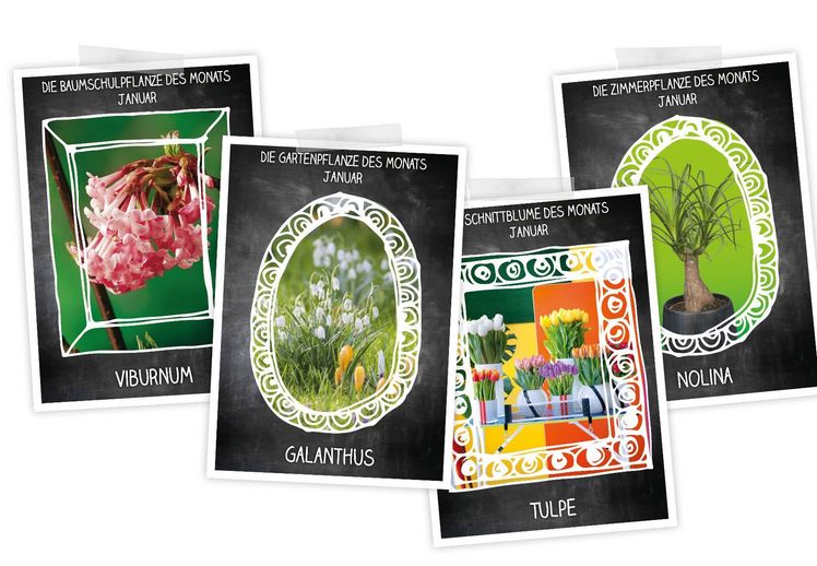 Der neue Blumen- und Pflanzenkalender für das Jahr 2018. Bild: Landgard.