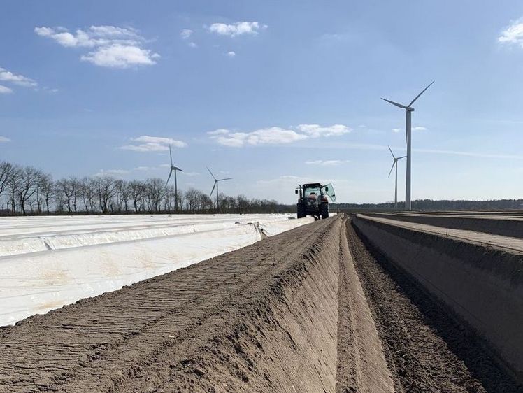 Letzte Vorbereitungen für den Start der Spargelsaison in Niedersachsen. Bild: Herberg/Landwirtschaftskammer Niedersachsen.