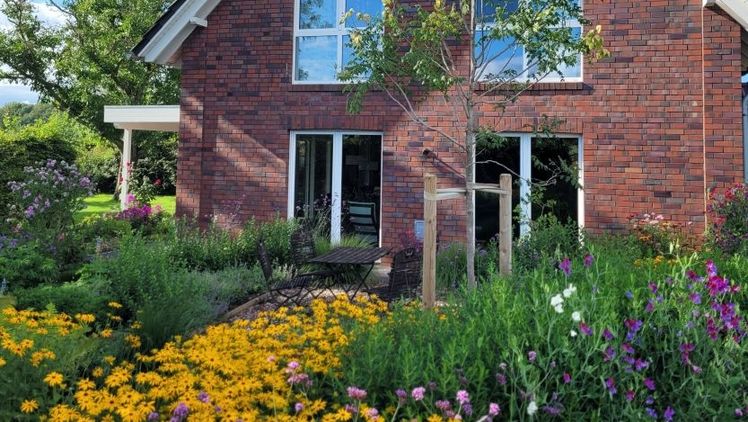 Blühender Vorgarten am Einfamilienhaus. Bild: Verband Garten-, Landschafts- und Sportplatzbau Nordrhein-Westfalen e. V. 
