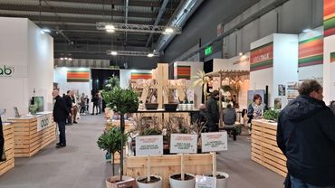 Das "Garden Center New Trend" auf der Myplant & Garden. Bild: GABOT.