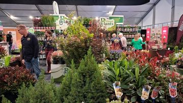 „Growing Together“ auf der GrootGroenPlus 2026. Bild: GABOT.