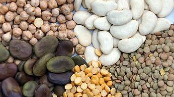 Europas Lebensmittelhersteller nutzen Hülsenfrüchte wieder häufiger. Bild: Universität Hohenheim / Dorothea Elsner.