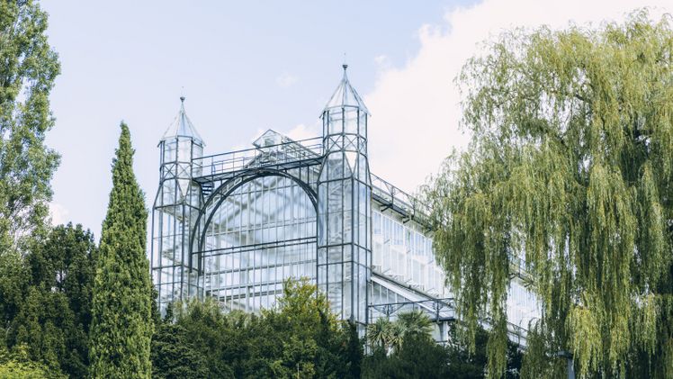 Mittelmeerhaus gerettet: Botanischer Garten Berlin erhält Bundesmittel für die Grundsanierung. Bild: © Botanischer Garten Berlin, Foto: Marlene Gawrisch.