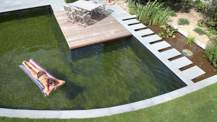 Die NATURAL POOL Kollektion wurde speziellen für Pool- und Teichfolien konzipiert: Eine umweltfreundliche Rezeptur ohne Biozide und Fungizide machen sie ideal für natürliche Anlagen. Bild: RENOLIT SE.